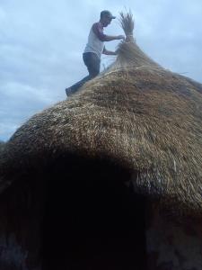 11921_534928703220128_217159714_n