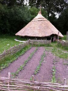 1507209_636579553073673_512312703_n