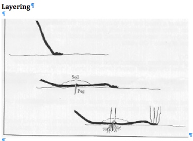Layering